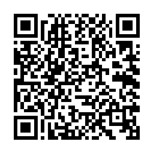 看着夏天那强有力的一脚和已经痛死过去的泰国神王二维码生成
