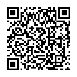 看着外面漫山遍野的奉天倡义复辽军旗号在远处闪动二维码生成