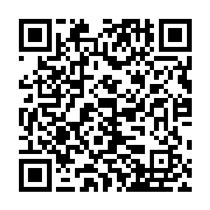 看着外面的小铁栏杆阳台和远处高低错落的巴黎传统建筑二维码生成