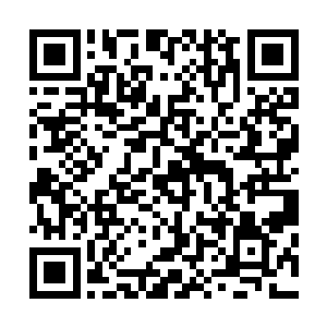 看着外面的百十号小弟和舞台上穿着火辣的美女在疯狂热舞二维码生成