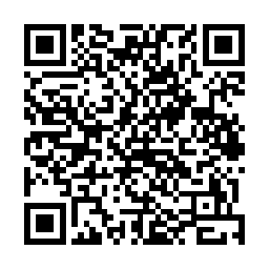 看着大厅中的那些人一个个都将目光放在了夜玄烨的身上二维码生成
