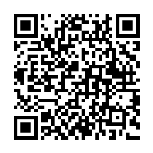 看着威廉王已经纵马冲向了不远处的哈罗德王的王旗……二维码生成