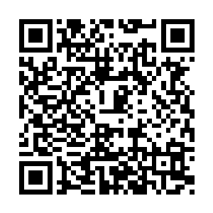 看着孙子轩熟练的操控着屏幕中的小人上下翻腾二维码生成