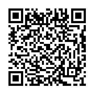 看着安东尼奥拿出了一个像是计算机一样的东西二维码生成