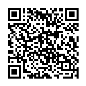 看着山脚下了整个黑铁之堡内的大地和远处的宫殿树二维码生成