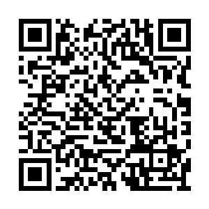 看着希山巫师的精神风暴几乎将空间都撕裂开来二维码生成