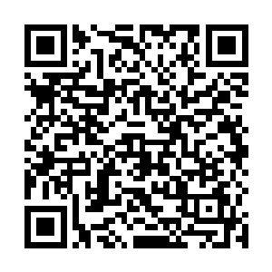 看着庄王妃恨不得烧了武安侯府替庄王世子出气的模样二维码生成