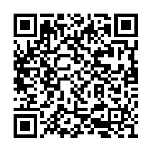 看着张潇晗招呼着小宝带着火狐头也不回地离开二维码生成