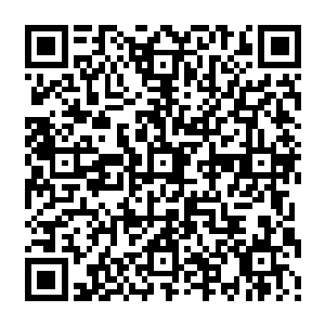 看着录像带谭晶就能很快模仿出来那些国内外的歌星们在舞台上是如何蹦蹦跳跳的二维码生成