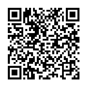 看着得意洋洋撑着雨伞在院子里走来走去臭显摆的萌萌二维码生成