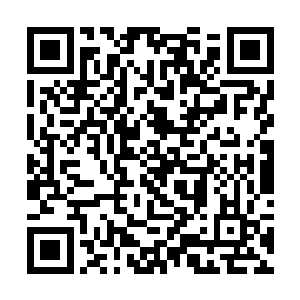 看着怀中滴溜溜转着一双黑白分明的大眼睛的北辰凤二维码生成