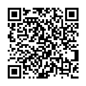 看着总是以毫厘之差避开荒兽凶禽和假冒法身的孟奇二维码生成