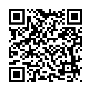 看着我好像吞了一只老鼠似得表情二维码生成