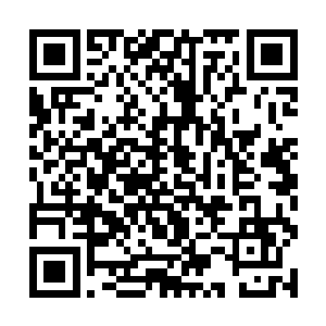 看着房间内七八台服务器的显示器上正在在拼命刷屏二维码生成