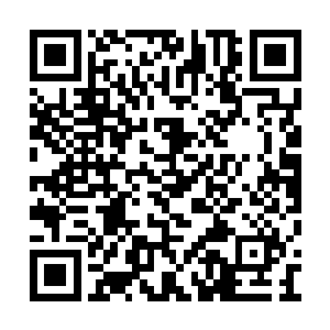 看着投影里不知道从哪里钻出来的黑暗念动士们二维码生成