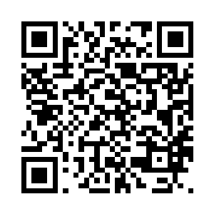 看着救护车把所有的伤者和死者拉走二维码生成