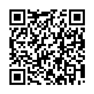 看着无尽树木之上种满的红色灵果二维码生成