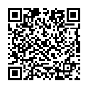 看着木戮在那装腔作势就忍不住地想冲上去咬他一口二维码生成
