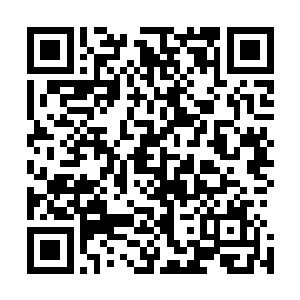 看着来送东西的嬷嬷和丫头一脸高傲的模样叶璃并没有动怒二维码生成
