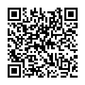 看着梵天和白面话语里对这家茶馆背后老板的佩服二维码生成