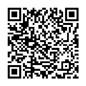 看着楚旬几乎以一己之力扛住了大半个圣甲虫人军团二维码生成