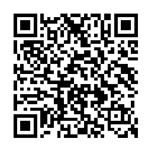 看着楚旬干净利落的干掉大量血骑士和丧尸生物二维码生成