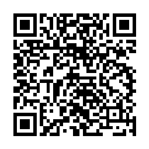 看着流墨墨如同修罗魔王一样的身影眼中满是崇拜颜色二维码生成
