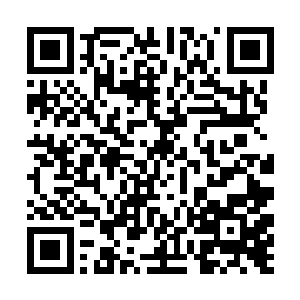 看着流墨墨纠结郁闷加疑惑的样子温宝儿也有些米糊二维码生成
