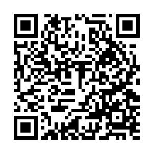 看着流墨墨露出疑似羡慕的样子和雪如楼好像越来越黑的脸二维码生成