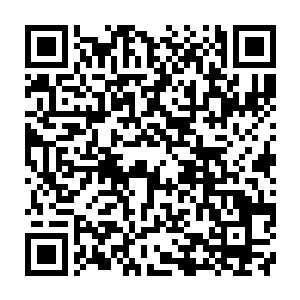 看着浑身散发着各种仙酒混杂之后的酒香和骨头都仿佛被酒泡酥了的流墨墨二维码生成