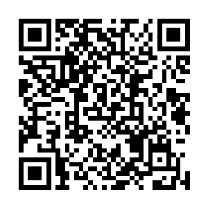 看着火灵族最为娇贵的少女因为岳恒的一言一行而牵动不已二维码生成