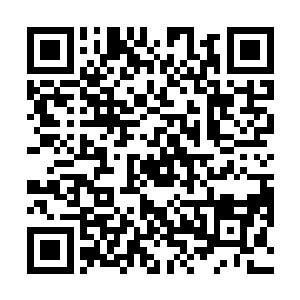 看着瘫坐在地上的穿着侍者服的女子……梓箐瞳孔微缩二维码生成