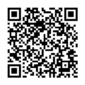 看着白彪和白魁那满腔怒火和气闷却无处发泄的模样二维码生成