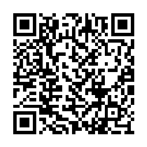看着盗墓飞贼兢兢业业地观察着每一个地形地势二维码生成