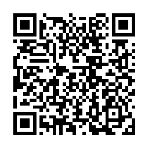 看着盘旋在黑衣人脑袋上面的那一朵朵九瓣白莲花二维码生成