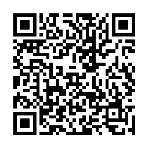 看着眼前古灵精怪的小女孩看着自己想要一个答案二维码生成