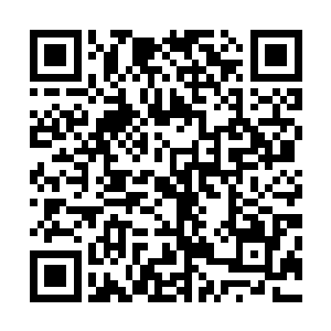 看着眼前犹如恶魔的风清扬似乎都忘了自己还是会法术的人二维码生成