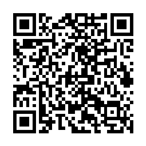 看着眼前的这些家伙苏凡此刻双眼冷冷的看着他们说道二维码生成
