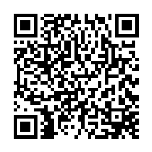 看着眼前这两个足足比林晓夕大出去得有三四十岁的老人二维码生成