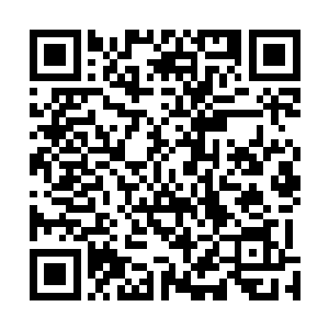 看着眼前这位做自己爷爷都没有问题的老人那挑剔的眼神二维码生成