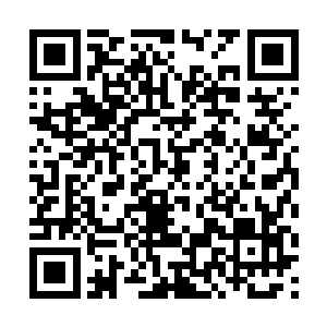 看着眼波流转妩媚的流墨墨黄毛大王都有些按耐不住二维码生成