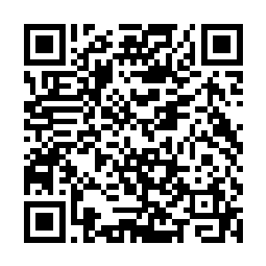 看着秦宇只是普通的一指便是断掉了白浩的一条手臂二维码生成
