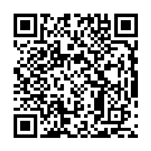 看着站在一大片血檀木上一点点朝着血棺材走去的陈八两二维码生成