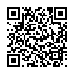 看着第一个红色小本子上的所有内容二维码生成