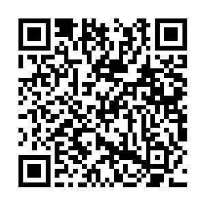 看着紧紧抱着自己妹妹蜷缩成一团无声哭泣的方恒二维码生成