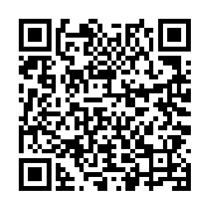 看着终于失态的绝色美人眼中更多了几分不以为然二维码生成