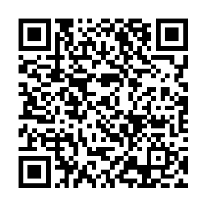 看着缓缓从空中飘落而下的树叶以及一些树叶的粉末二维码生成
