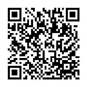 看着罗家的大火以及那突然逃遁而去的天罗玄火二维码生成