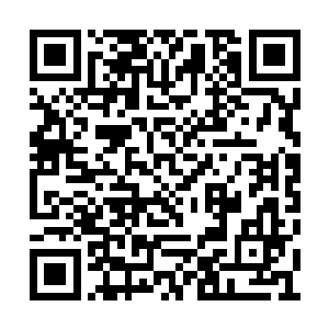 看着老爸老妈和琳达等人脸上那绽放出来的笑容二维码生成