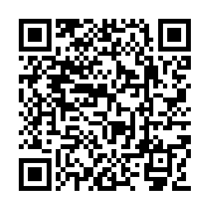 看着老马特眼看着要到手的鸭子飞了那才解气呢二维码生成